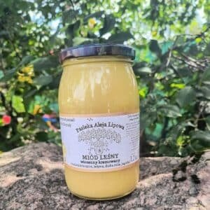 MIÓD LEŚNY KREMOWANY wiosenny (malina, kruszyna, jeżyna, jagoda)