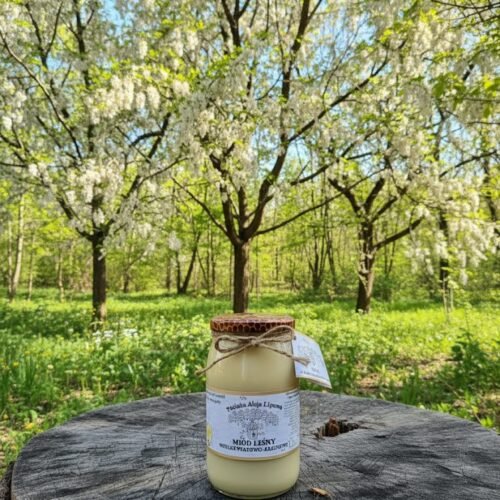 MIÓD LEŚNY wielokwiatowo-akacjowy 2025r.