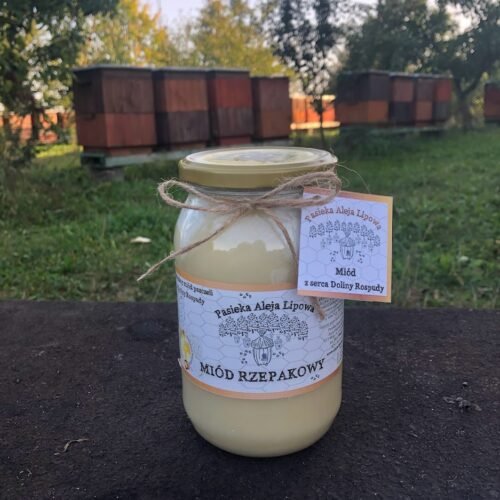 Miód rzepakowy